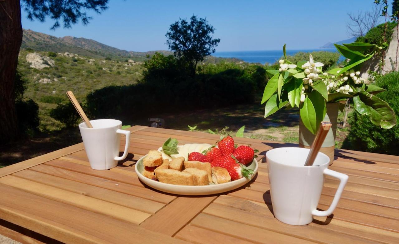 Studio, Vue Sur Mer Et Montagne سانت فلوران المظهر الخارجي الصورة